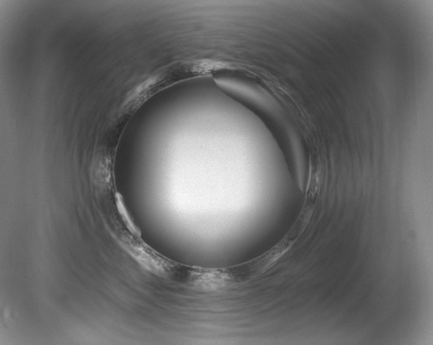 X0000080790621200612151456