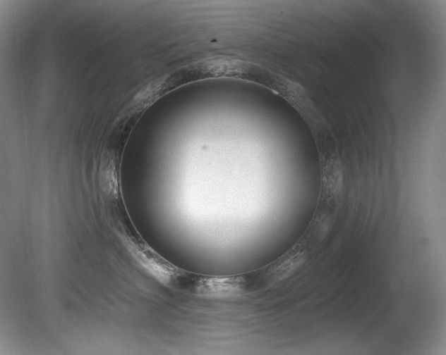 X0000080790622200612151456