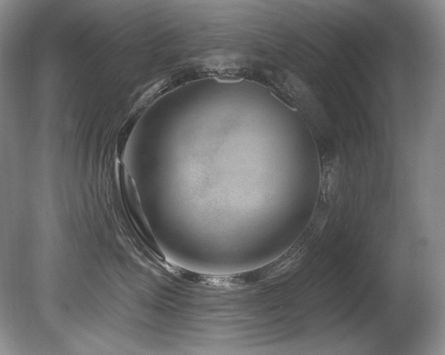 X0000080790623200612151456