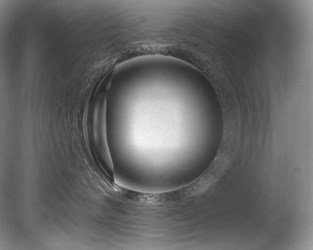 X0000080790624200612151456