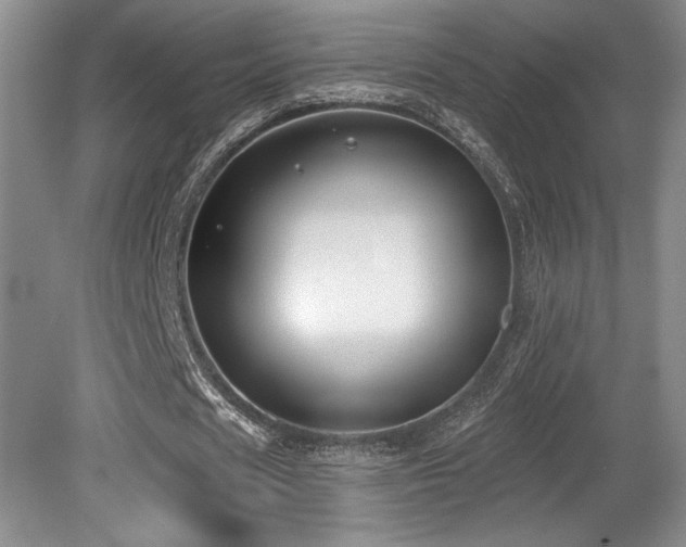 X0000080790625200612151455