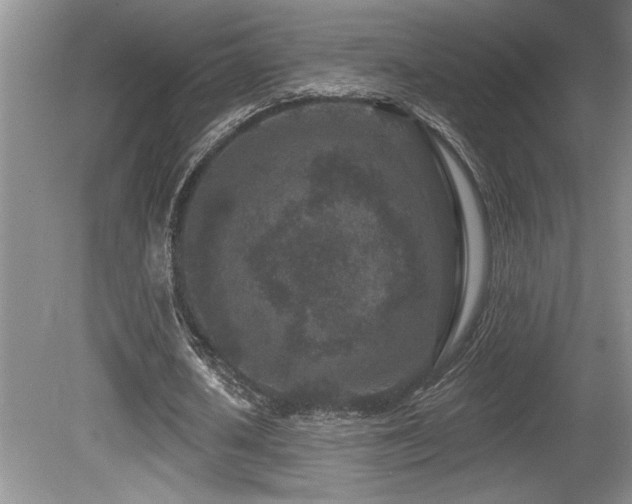 X0000080790626200612151455