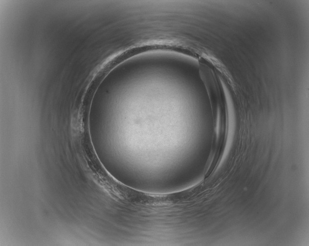 X0000080790628200612151455