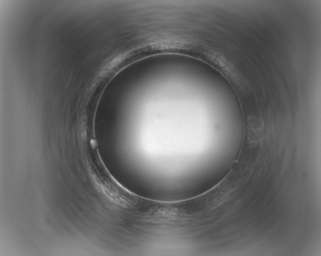 X0000080790631200612151456