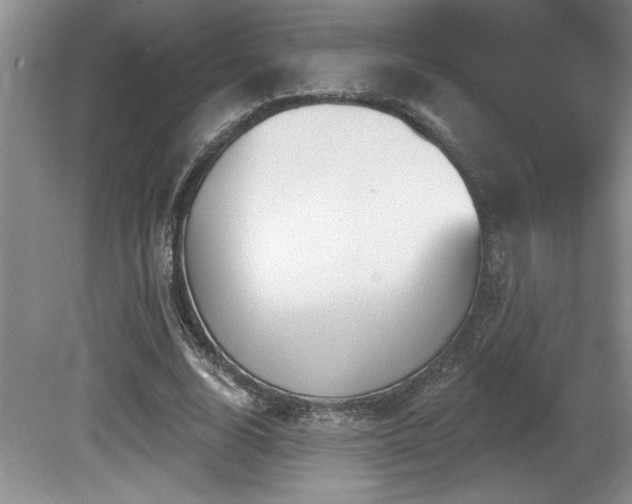 X0000080790632200612151456