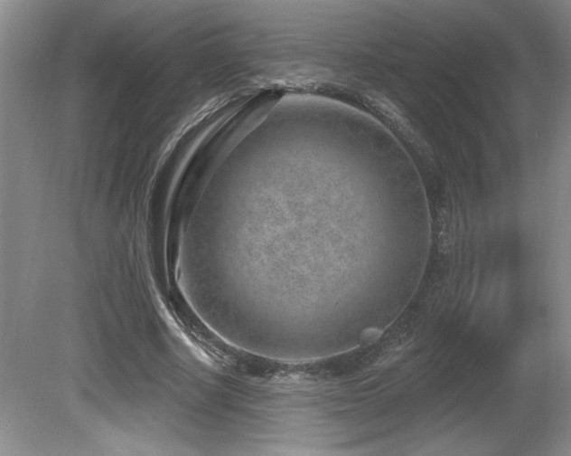 X0000080790634200612151456