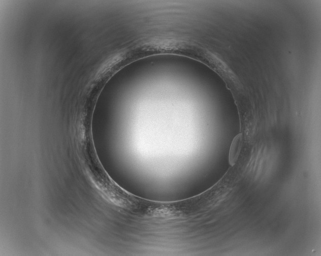 X0000080790635200612151456