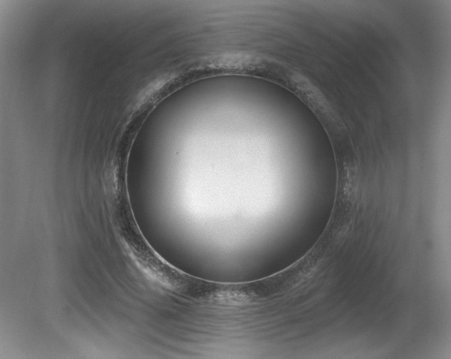 X0000080790636200612151456