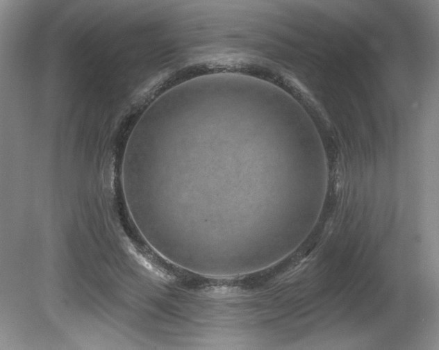 X0000080790637200612151456