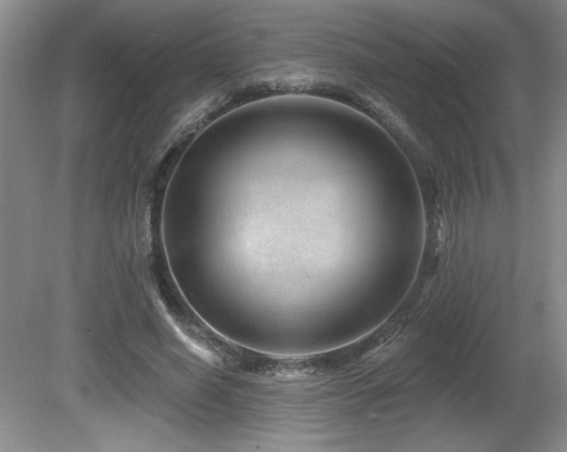 X0000080790638200612151456