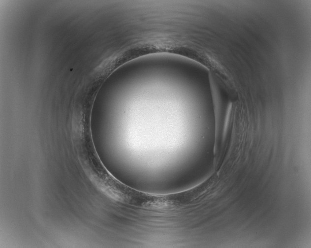 X0000080790639200612151456