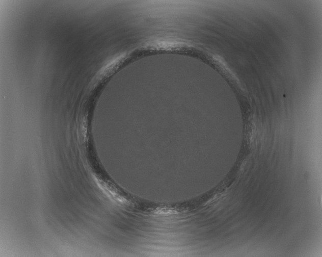 X0000080790640200612151456