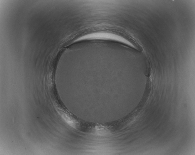 X0000080790641200612151456