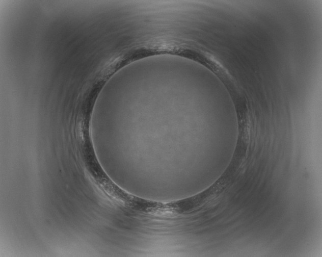 X0000080790643200612151456