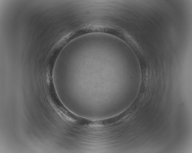 X0000080790644200612151456
