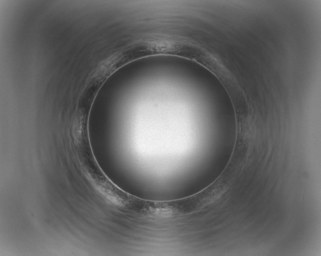 X0000080790645200612151456