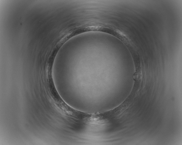 X0000080790647200612151456