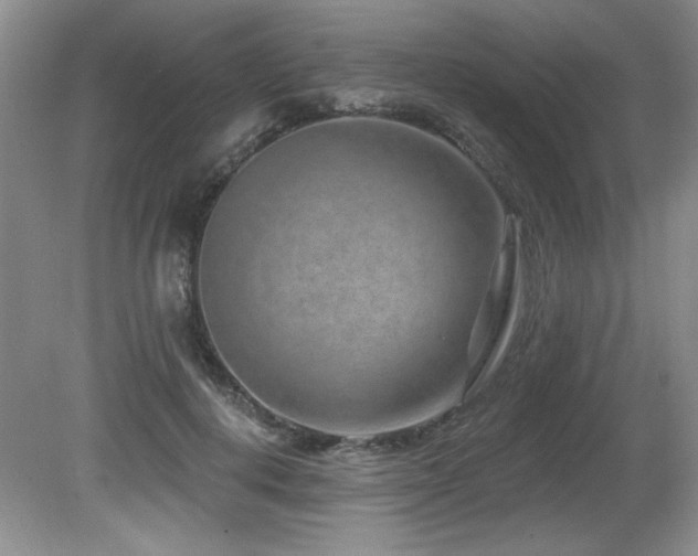 X0000080790648200612151456