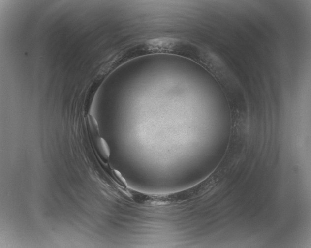 X0000080790649200612151456