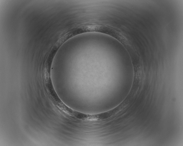 X0000080790651200612151456