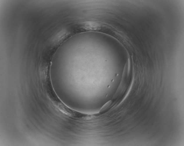 X0000080790652200612151456