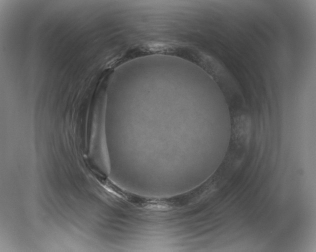 X0000080790653200612151456