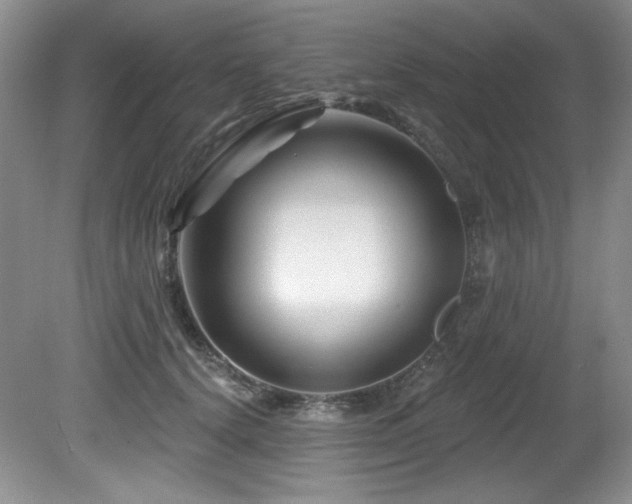 X0000080790656200612151456