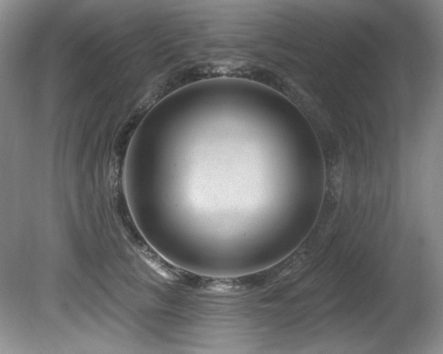 X0000080790657200612151456