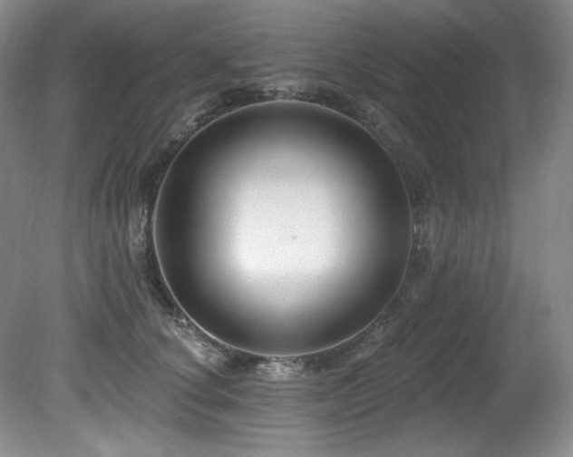 X0000080790660200612151456