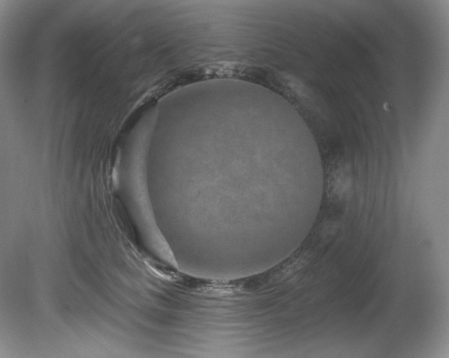 X0000080790661200612151456