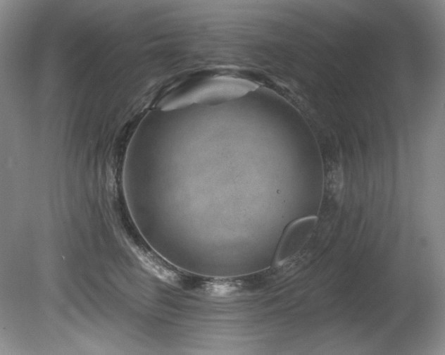 X0000080790662200612151456