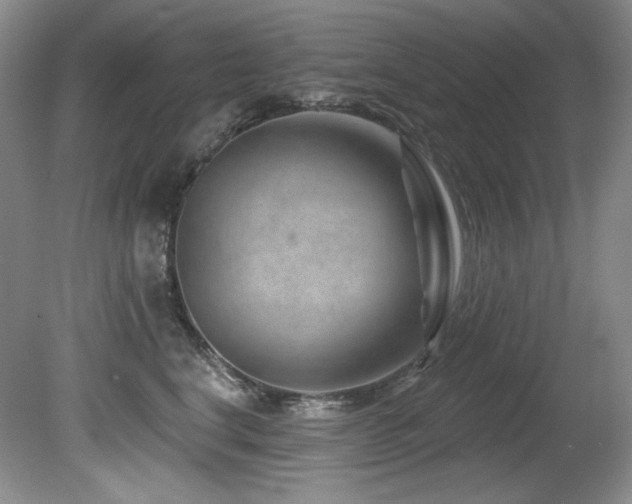X0000080790664200612151456