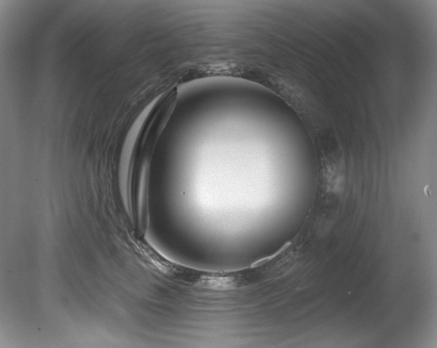 X0000080790665200612151456