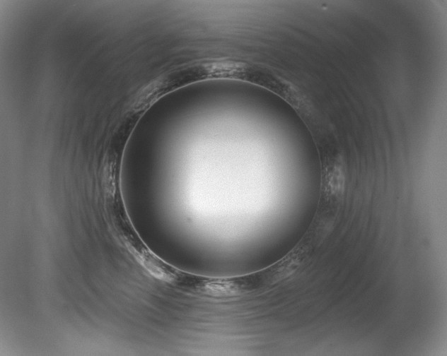 X0000080790666200612151456