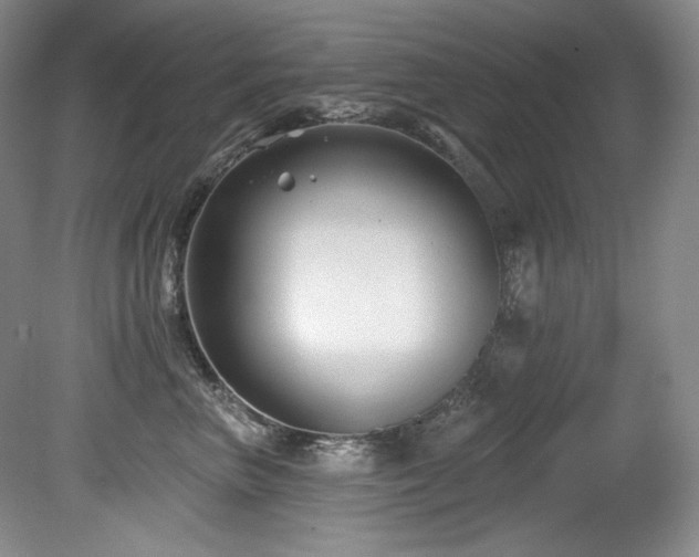 X0000080790667200612151456