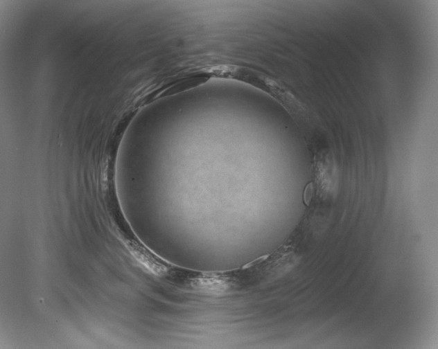 X0000080790668200612151456