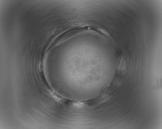 X0000080790669200612151456