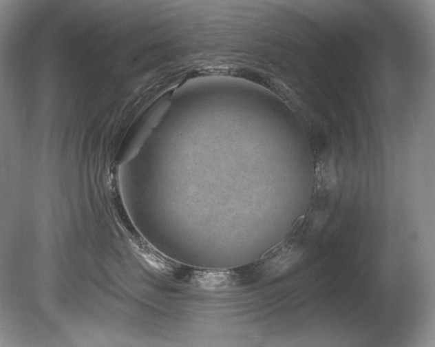 X0000080790671200612151456