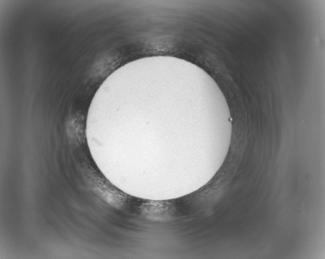X0000080790672200612151456
