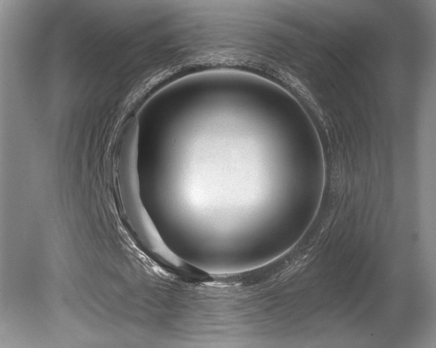 X0000080790673200612151455