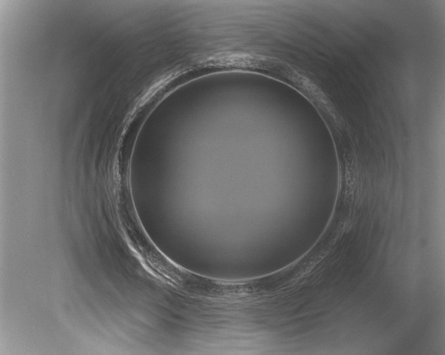 X0000080790674200612151455