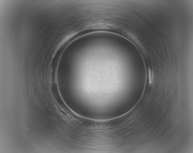 X0000080790675200612151455