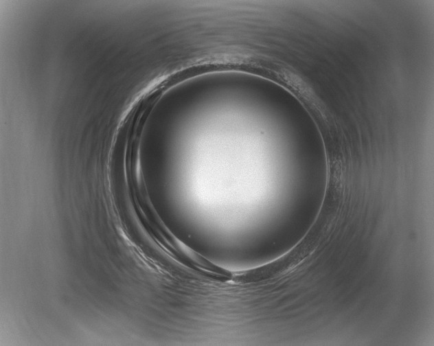 X0000080790676200612151455