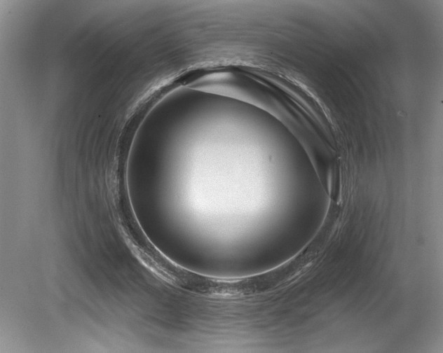 X0000080790677200612151455