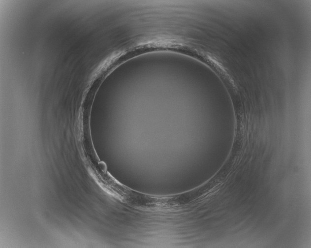 X0000080790678200612151455