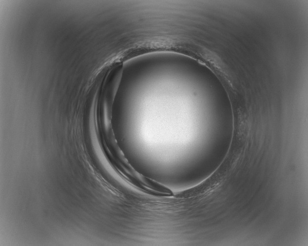 X0000080790681200612151455