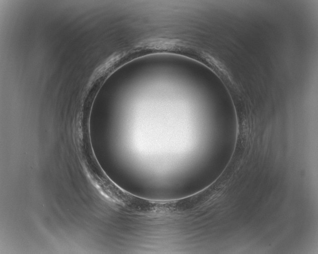 X0000080790682200612151455
