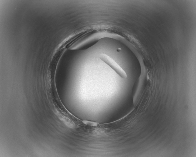 X0000080790684200612151455