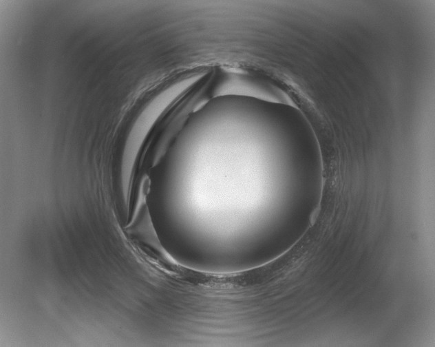 X0000080790685200612151455