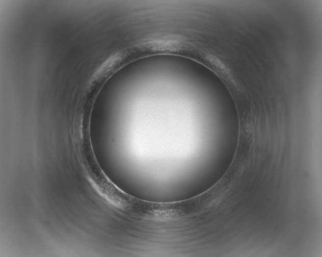 X0000080790686200612151455